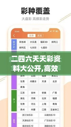 二四六天天彩资料大公开,高效计划设计实施_zShop5.141