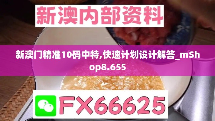 新澳门精准10码中特,快速计划设计解答_mShop8.655