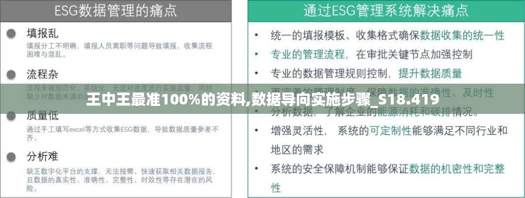 王中王最准100%的资料,数据导向实施步骤_S18.419