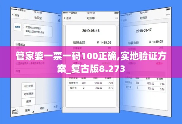 管家婆一票一码100正确,实地验证方案_复古版8.273