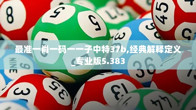 最准一肖一码一一子中特37b,经典解释定义_专业版5.383