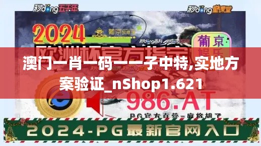 澳门一肖一码一一子中特,实地方案验证_nShop1.621