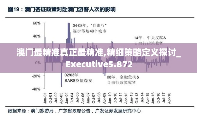 澳门最精准真正最精准,精细策略定义探讨_Executive5.872