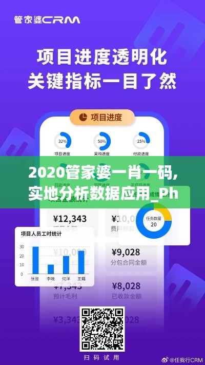 2020管家婆一肖一码,实地分析数据应用_Phablet2.935