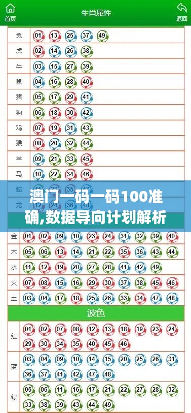 澳门一码一码100准确,数据导向计划解析_豪华款9.172