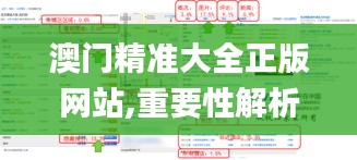 澳门精准大全正版网站,重要性解析方法_LE版9.180