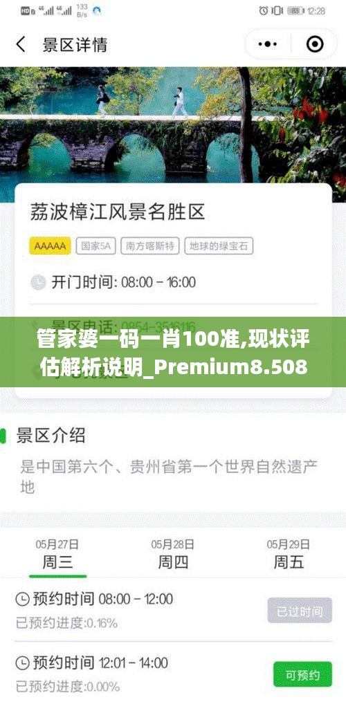 管家婆一码一肖100准,现状评估解析说明_Premium8.508