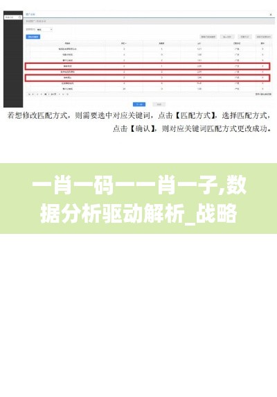 一肖一码一一肖一子,数据分析驱动解析_战略版4.661