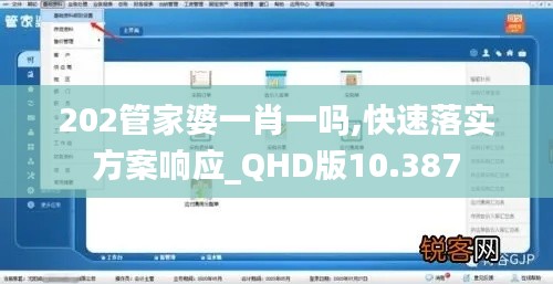 202管家婆一肖一吗,快速落实方案响应_QHD版10.387