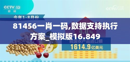 81456一肖一码,数据支持执行方案_模拟版16.849