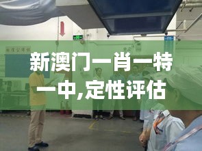 新澳门一肖一特一中,定性评估解析_桌面款6.956