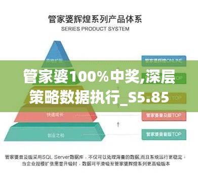 管家婆100%中奖,深层策略数据执行_S5.855