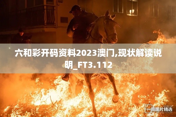 六和彩开码资料2023澳门,现状解读说明_FT3.112