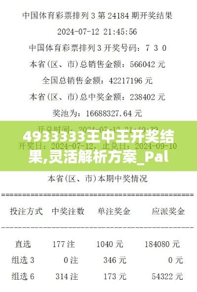 4933333王中王开奖结果,灵活解析方案_PalmOS18.980