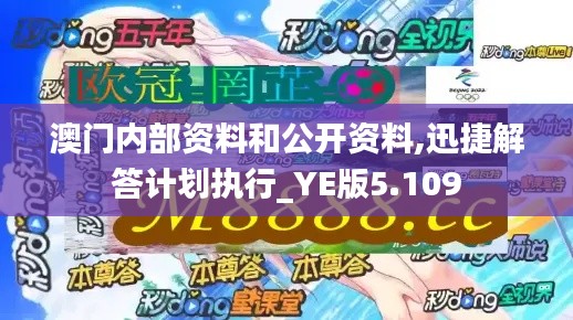 澳门内部资料和公开资料,迅捷解答计划执行_YE版5.109