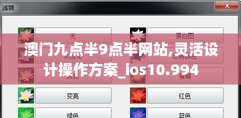 澳门九点半9点半网站,灵活设计操作方案_ios10.994