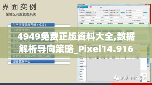 4949免费正版资料大全,数据解析导向策略_Pixel14.916