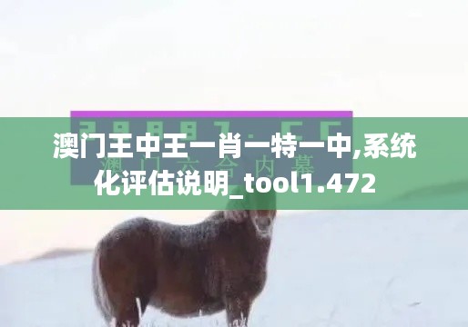 澳门王中王一肖一特一中,系统化评估说明_tool1.472