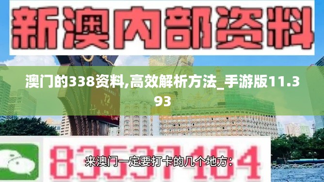 澳门的338资料,高效解析方法_手游版11.393