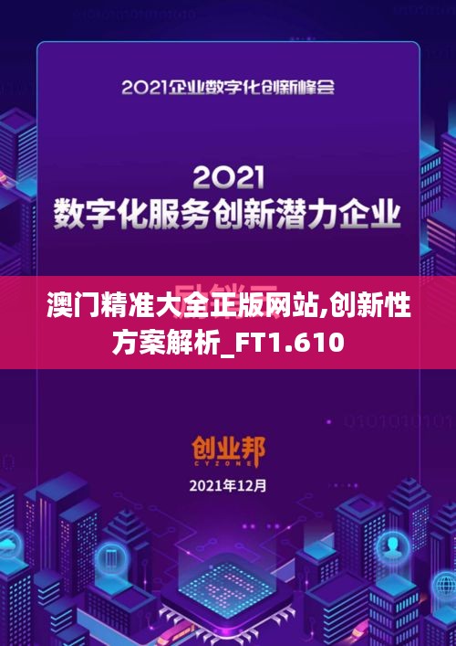 澳门精准大全正版网站,创新性方案解析_FT1.610