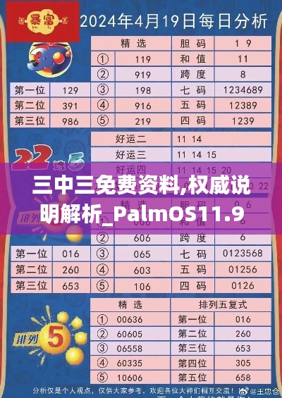 三中三免费资料,权威说明解析_PalmOS11.914