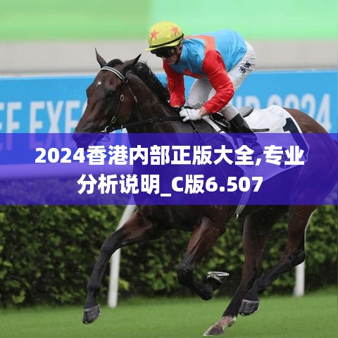 2024香港内部正版大全,专业分析说明_C版6.507