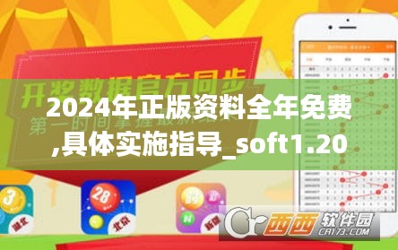 2024年正版资料全年免费,具体实施指导_soft1.208