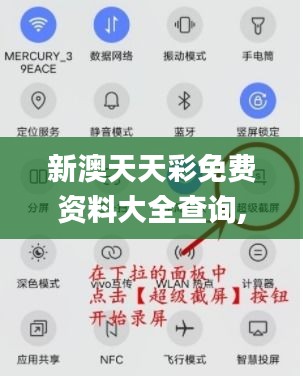 新澳天天彩免费资料大全查询,数据导向解析计划_4DM11.167