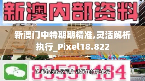 新澳门中特期期精准,灵活解析执行_Pixel18.822