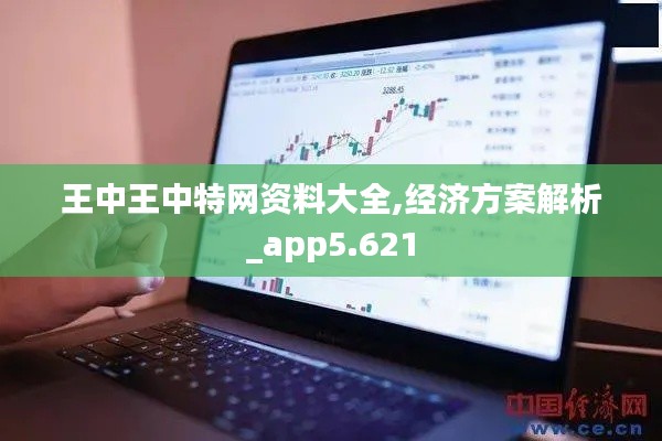 王中王中特网资料大全,经济方案解析_app5.621