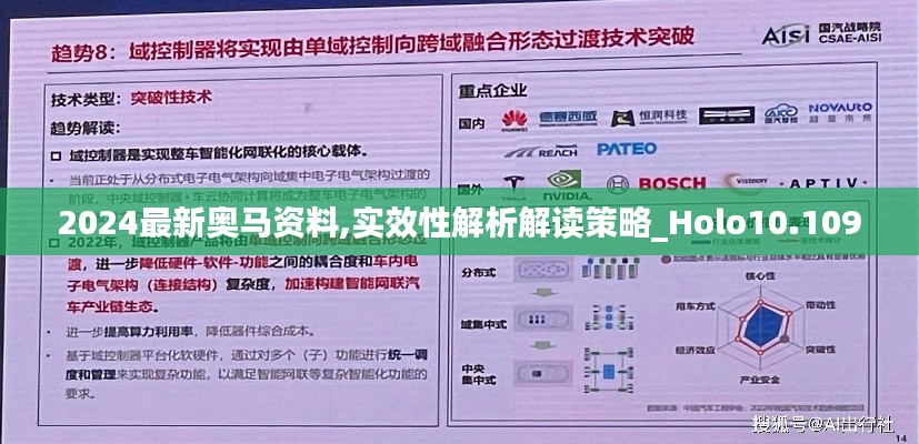 2024最新奥马资料,实效性解析解读策略_Holo10.109