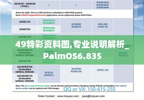 49特彩资料图,专业说明解析_PalmOS6.835