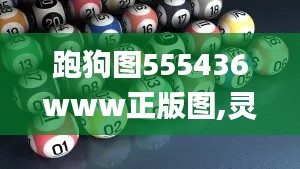 跑狗图555436www正版图,灵活性策略设计_DP7.924