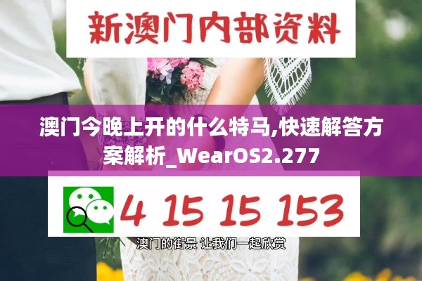 澳门今晚上开的什么特马,快速解答方案解析_WearOS2.277