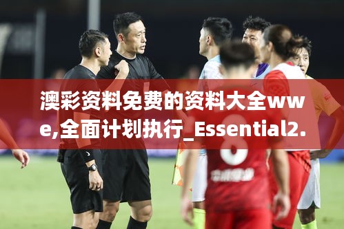 澳彩资料免费的资料大全wwe,全面计划执行_Essential2.367