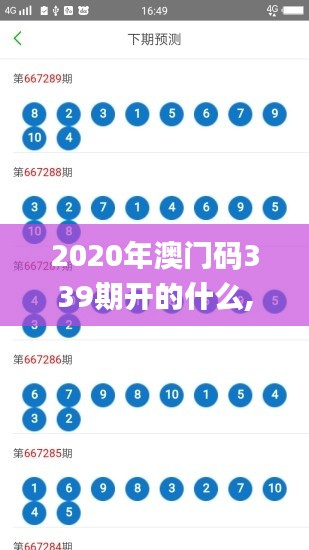 2020年澳门码339期开的什么,数据实施导向策略_移动版15.474