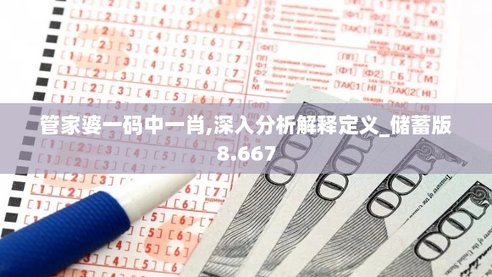 管家婆一码中一肖,深入分析解释定义_储蓄版8.667