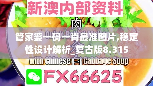 管家婆一码一肖最准图片,稳定性设计解析_复古版8.315