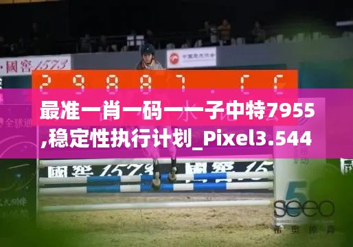 最准一肖一码一一子中特7955,稳定性执行计划_Pixel3.544