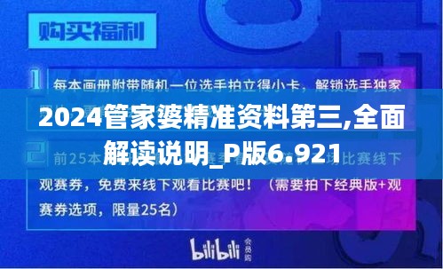 2024管家婆精准资料第三,全面解读说明_P版6.921