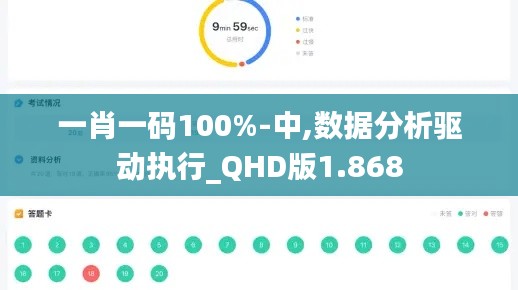 一肖一码100%-中,数据分析驱动执行_QHD版1.868