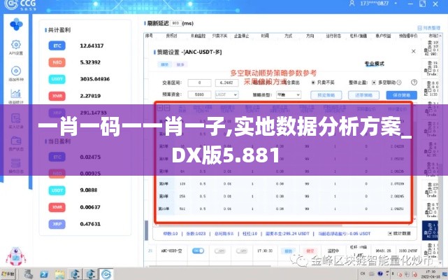 一肖一码一一肖一子,实地数据分析方案_DX版5.881