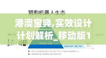 港澳宝典,实效设计计划解析_移动版13.116