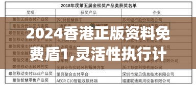 2024香港正版资料免费盾1,灵活性执行计划_挑战款6.175