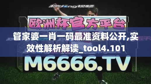 管家婆一肖一码最准资料公开,实效性解析解读_tool4.101