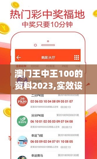 澳门王中王100的资料2023,实效设计计划_专家版8.872