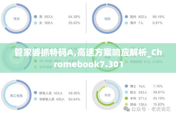 管家婆抓特码A,高速方案响应解析_Chromebook7.301