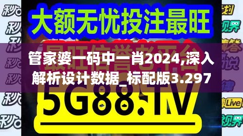 管家婆一码中一肖2024,深入解析设计数据_标配版3.297