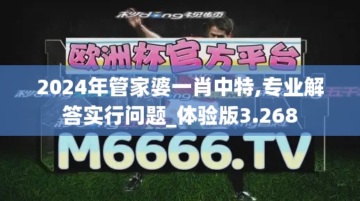 2024年管家婆一肖中特,专业解答实行问题_体验版3.268