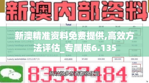 新澳精准资料免费提供,高效方法评估_专属版6.135